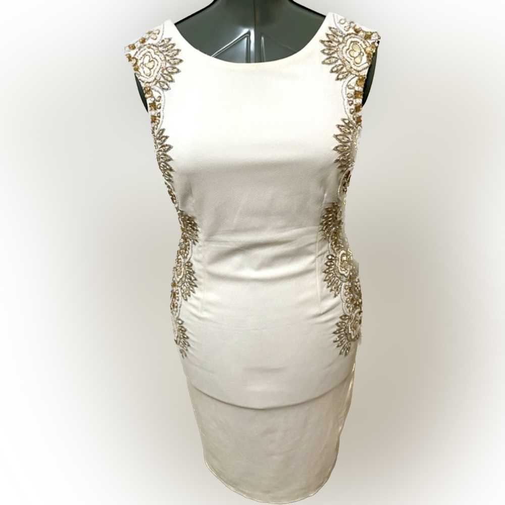 Adrianna Papell Bead and Sequin Bodycon Dress. Like new.